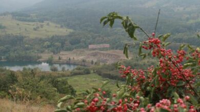 Hársfa Vendégház Erdőbénye 