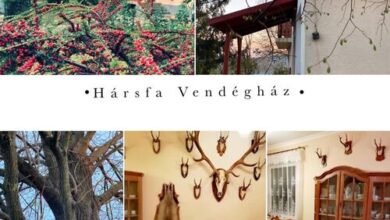 Hársfa Vendégház Tállya 