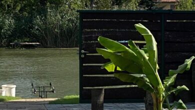 Hawaii Lak Nyaraló Békésszentandrás 