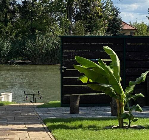 Hawaii Lak Nyaraló Békésszentandrás 