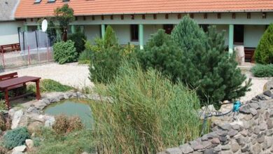 Hegyalja Vendégház Abaújszántó 