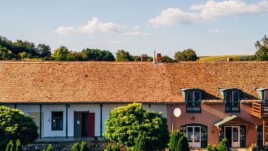 Hegyhát-Izmény Üdülőház 