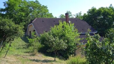 Hegyi Tücsök Vendégház Badacsonytördemic 