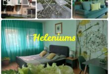 Heleniums Apartman Hajdúszoboszló 