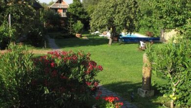 Herold Panzió Dunabogdány 