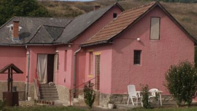 Hibiszkusz Ház Bekölce 