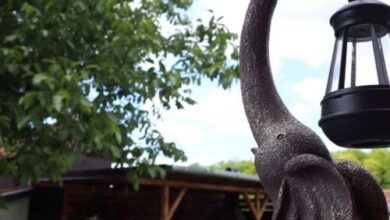 Holdvirág Vendégház Jánoshalma 