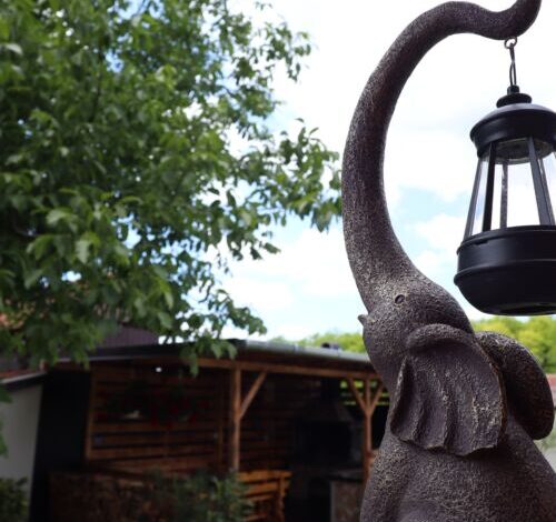 Holdvirág Vendégház Jánoshalma 