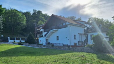 Holling Apartman Fertőboz 