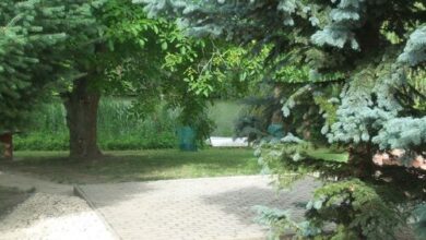 Horgász Nyaraló Gyomaendrőd 