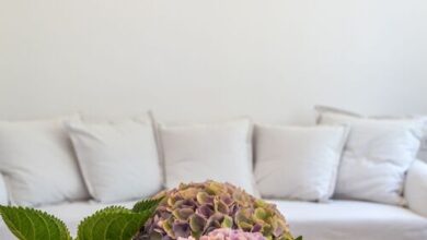 Hortenzia Vendégház Mór 