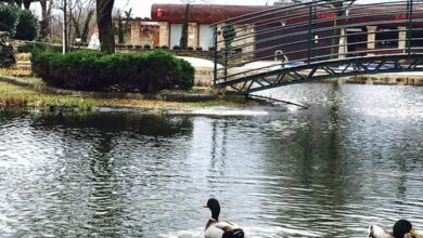 Horváth Apartman Cserkeszőlő 