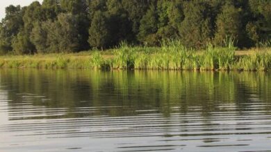 Hosszú-tó Vendégház Drávacsepely 