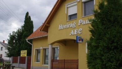 Hóvirág Panzió Porva 