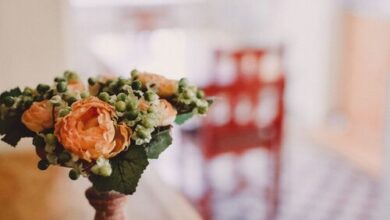 Hóvirág Vendégház Albertirsa 