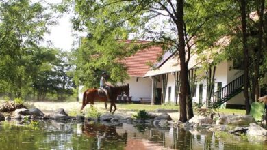 Hunor Lovastanya Kunbaracs 