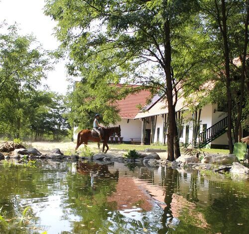 Hunor Lovastanya Kunbaracs 