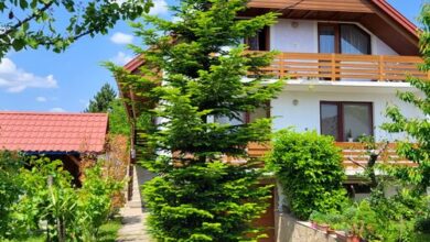 Ibolya Apartman Gyenesdiás 