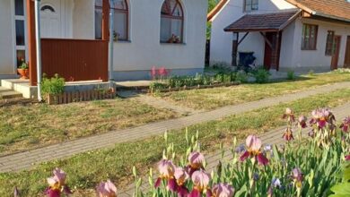 Idehaza Vendégház Kisszekeres 