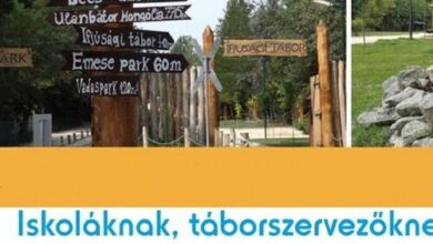 Ifjúsági Élmény Tábor Szigethalom 