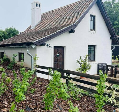 Illés Méhészet és Vendégház Felsőörs 