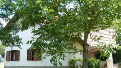 István Pince Vendégház Zamárdi 