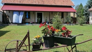 István Vendégház Mórahalom 