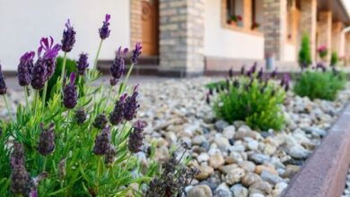 Ja&Zso Vendégház Bikács 