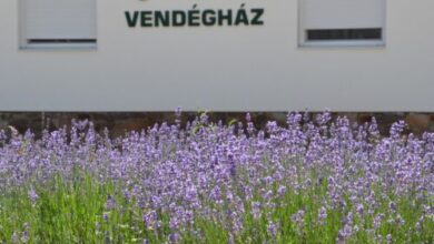 Jánossza-völgy Vendégház Ózd 