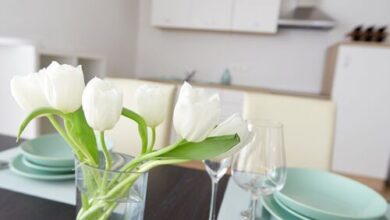 Jekl Panoráma Apartmanok Villány 