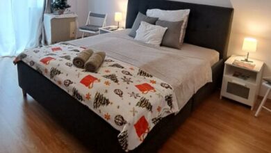 Jelena Apartman Szeged 