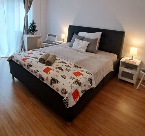 Jelena Apartman Szeged 