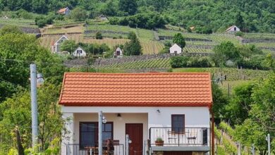 Jera Pince és Vendégház Somlóvásárhely 