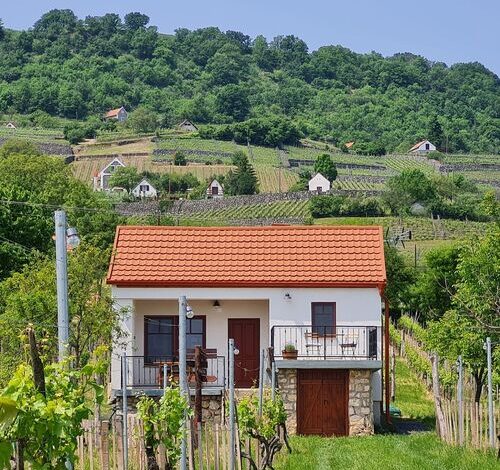 Jera Pince és Vendégház Somlóvásárhely 