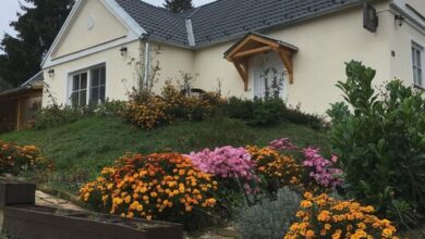 Jókai Vendégház Homokkomárom 