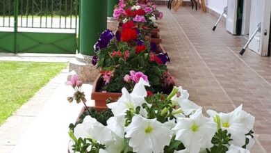 Jolanda Vendégház Szálka 