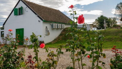 Joóbarát Vendégház Siklós 