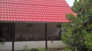 Judit Apartman Makó 