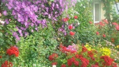 Judit Vendégház Karcag 