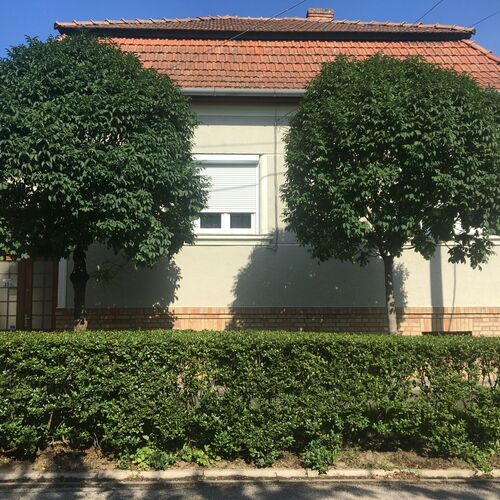 Juhász Vendégház Szeged