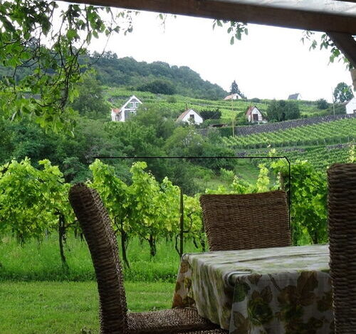 Juhfarkliget Vendégház Somlóhegy 