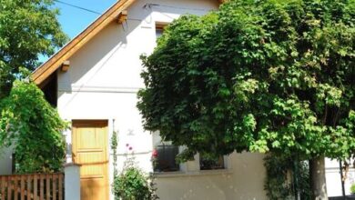 Jumper Apartman Szigetmonostor 