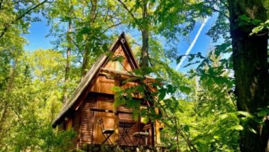 Kabinláz Vendégház Kismaros 