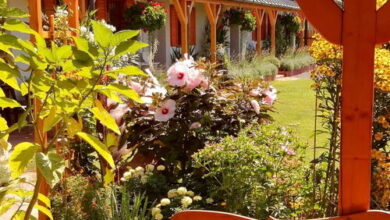 Kabóca Vendégház Kővágóörs 