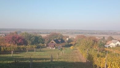 Kádárok Vendégháza Somló-hegy 