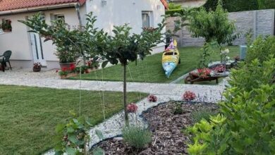 Kajak Kuckó Vendégház Balatonalmádi 