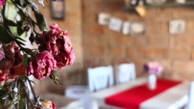 Kakukkfű Barlang Vendégház Noszvaj 