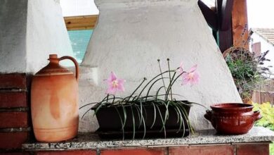 Kamilla Apartman Tiszafüred 