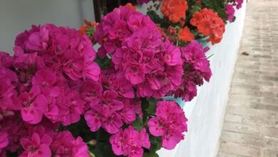 Kán Csodavilág Vendégház Hetvehely 