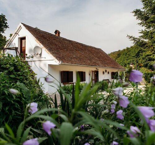 Káni Ökoporta Hetvehely-Kán 